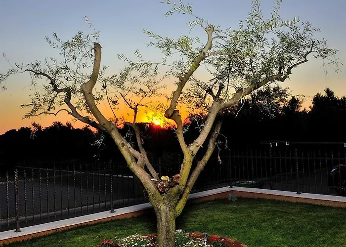 Tea Novigrad By Awaytocroatia * Novigrad Istria